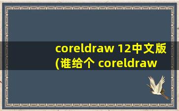 coreldraw 12中文版(谁给个 coreldraw 12 中文版下载地址我啊)